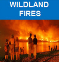 wildfires